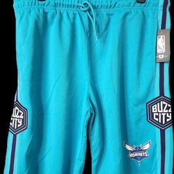 Two Charlotte Hornet's shorts Large
