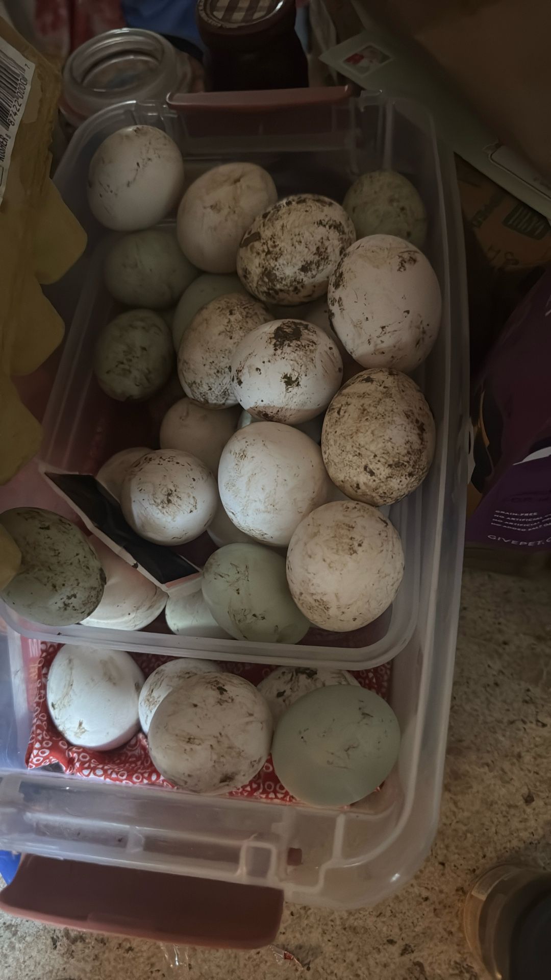 Free Eggs With Trade 