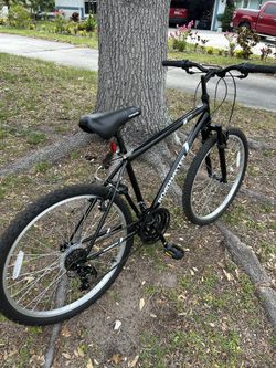 Jamis Boss Cruiser Bicycle SERVICED