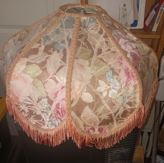 FREE** ANTIQUE** LAMP** SHADE**