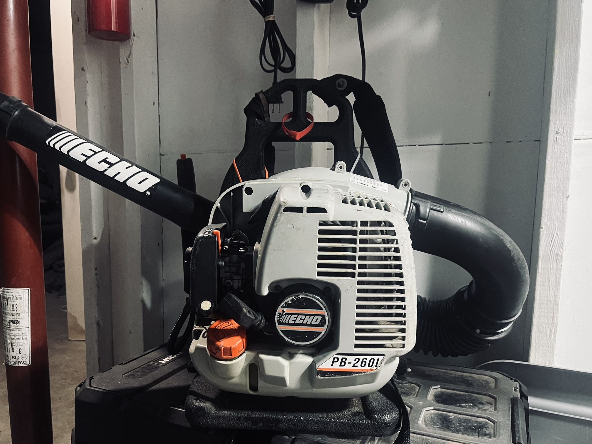 Echo backpack LeafBlower