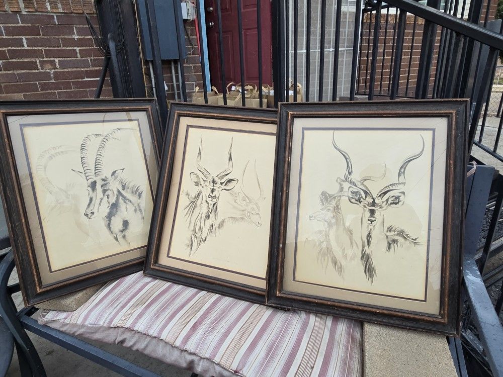 Clive Walker Water Color Paintings