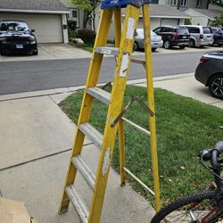 6ft Ladder 