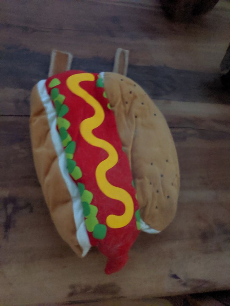 Dog/cat hotdog outfit