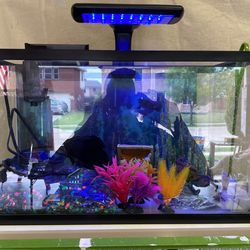Aquarium, 10 Gal, w/Filter