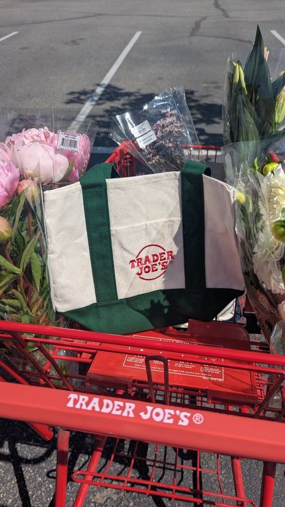 Trader Joe's Green Mini Tote Bag