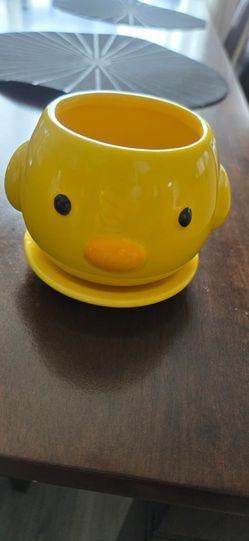 Little chick animal planter