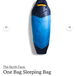 THE NORTH FACE ONE BAG