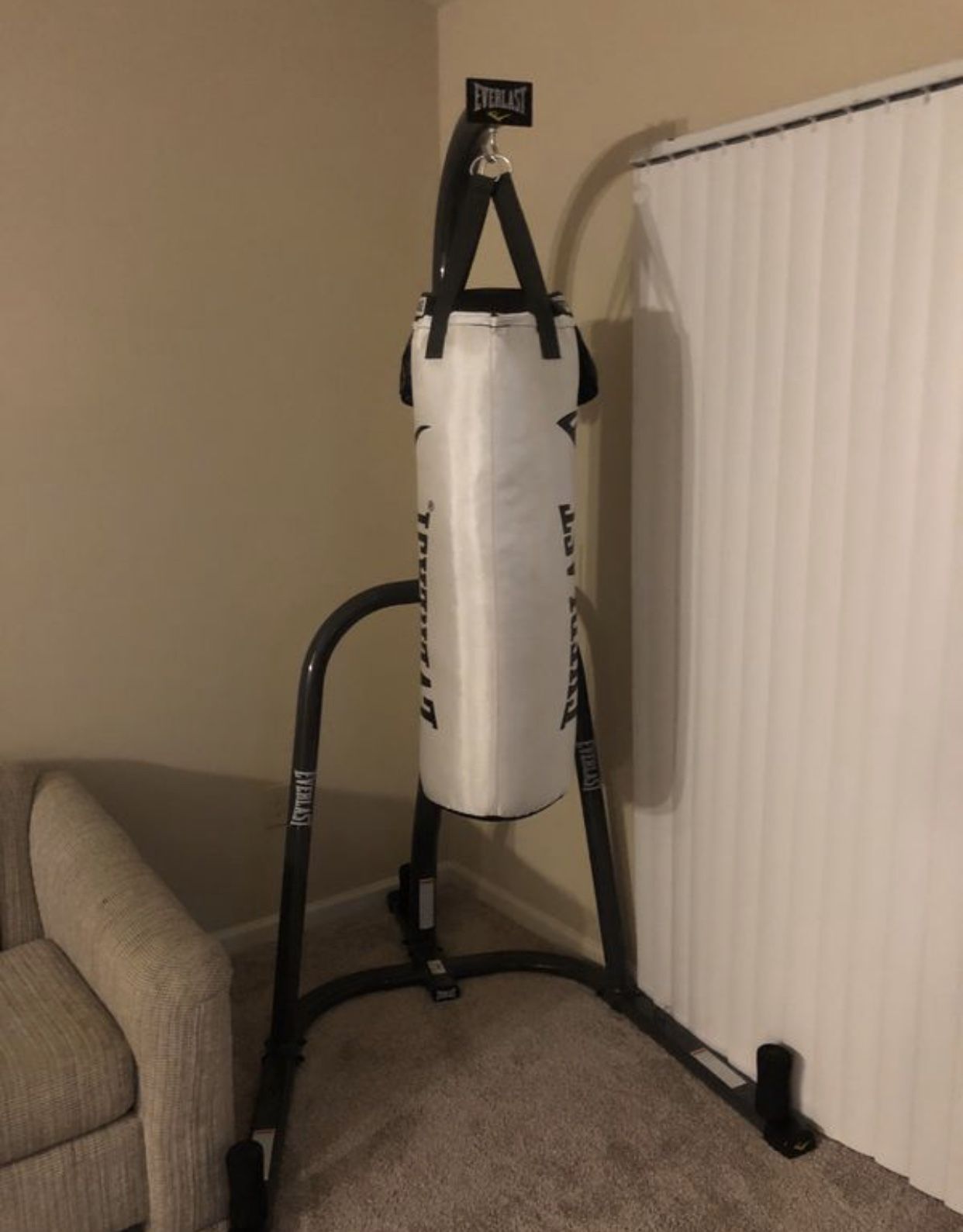 Everlast bag and stand w speedbag