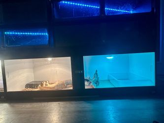 Reptile enclosure 6 x 2 x 2