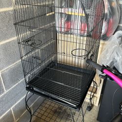 Bird Cages