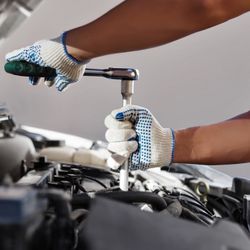 Brakes And Rotors Oil Change