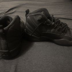 Jordan 12 