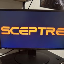 Sceptre 20” Monitor