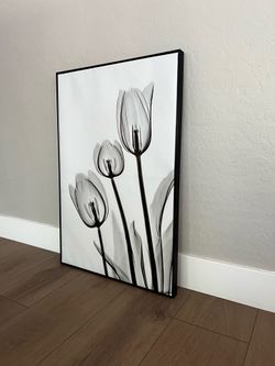 36x24 Large Floating Framed Black and White Tulip Floral Canvas Artwork