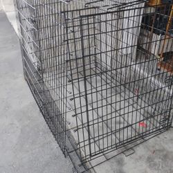 Dog Kennel🐕‍🦺🦴🐾 