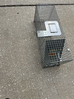 Animal Catcher