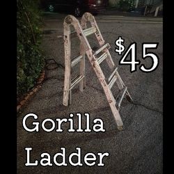 Gorilla Ladder
