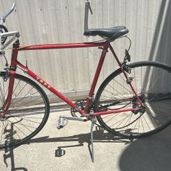 Trek Bike 