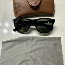 Raybans Polarized 