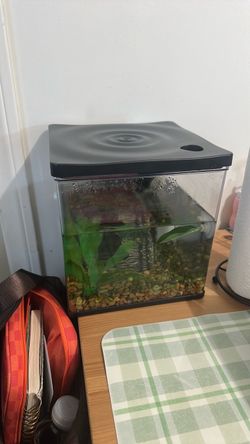 Fish tank