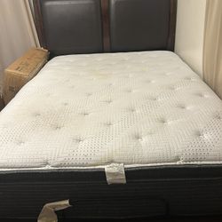 Free Mattress And Bed frame 