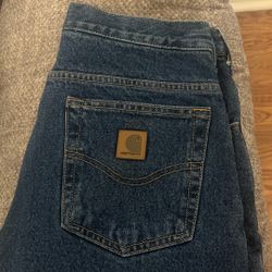 Insulated Carhartt Work Jeans 30x34