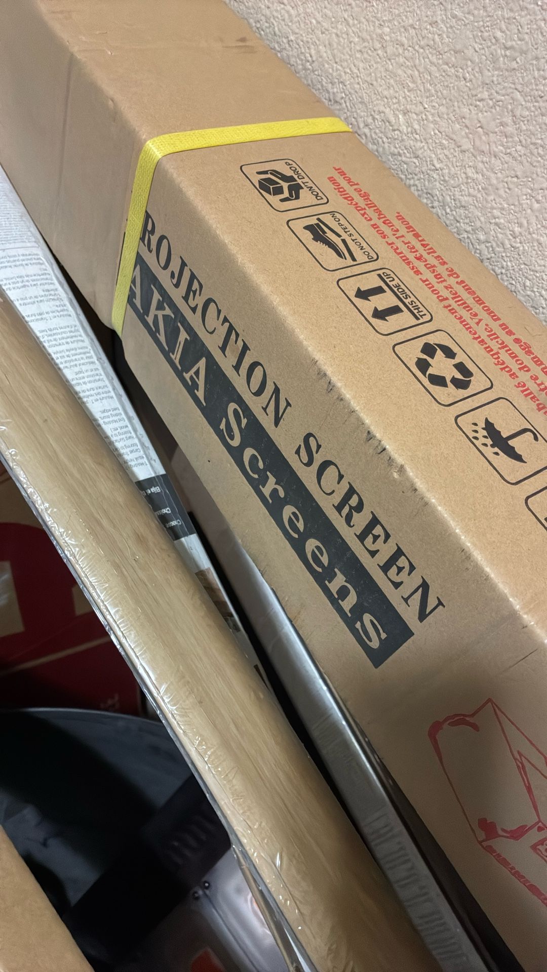 Akia Professional Movie Screen