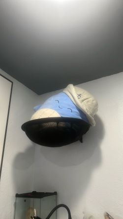 cat wall mounted hammock