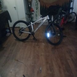Schwinn Mountain Bike