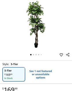 7"ficus tree