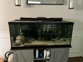 75g fishtank and stand