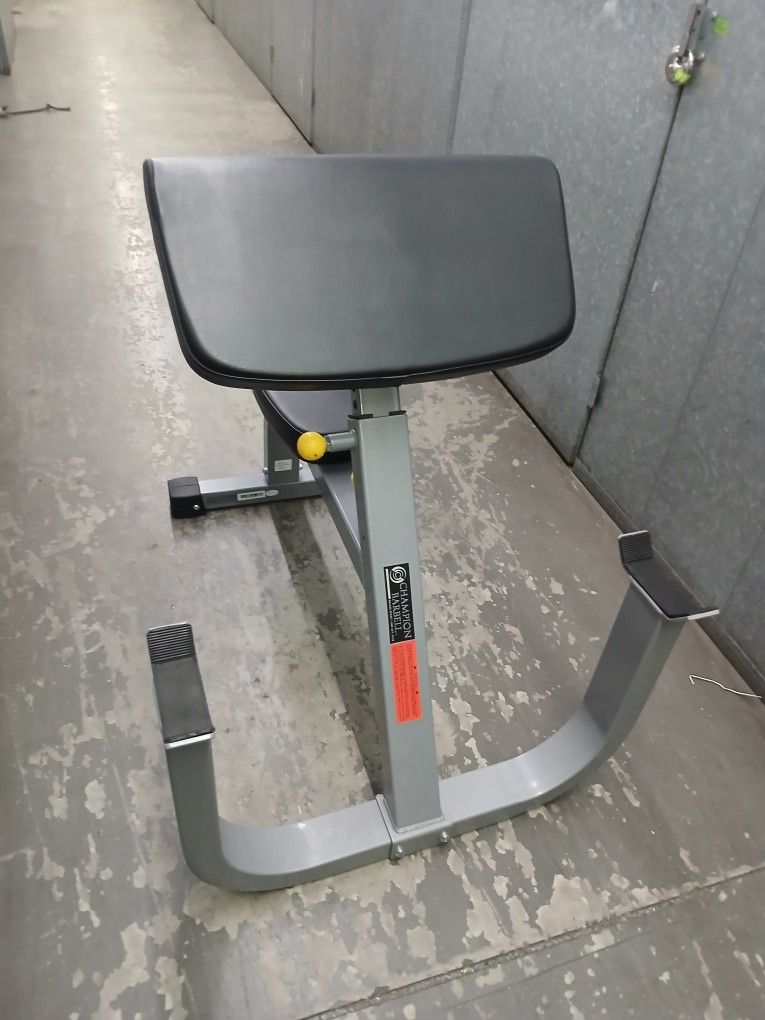 Preacher Curl Bench
