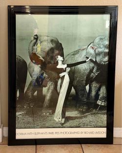1955 Framed Photograph "Dovima with Elephants" by Richard Avedon