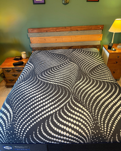 Sealy Queen Plush Mattress