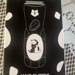 Cat Grooming