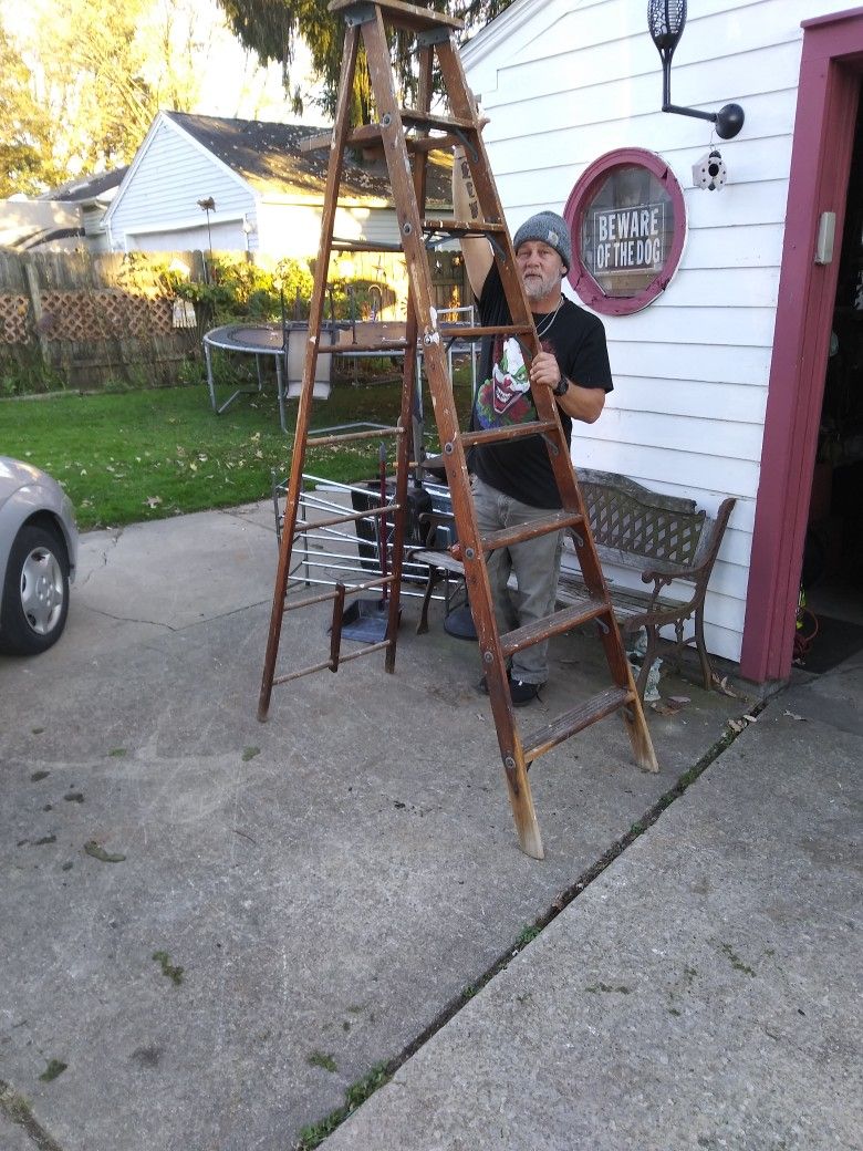 7 1/2 Foot Ladder