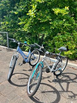 2 Girls Bikes