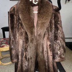 Chocolate Fox Bomber 