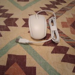Computer Mouse 