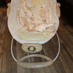 Ingenuity Bright Starts Automatic Bouncer
