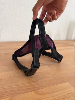 Purple mesh dog harness - SMALL
