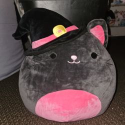 Squishmallow Catarina Halloween Black Cat 12"