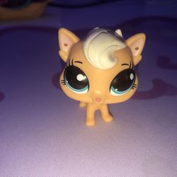 LPs kitten