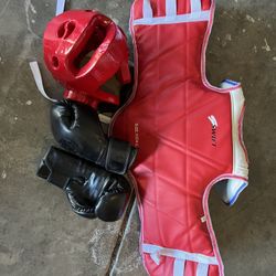 Sparring Gear