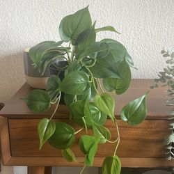 IKEA Set of 5 Artificial Plants and 1 pot