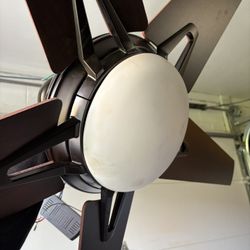 Ceiling Fan 