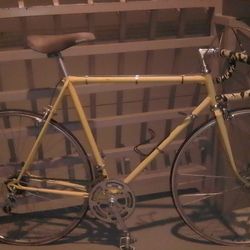 Classic ZEUS Road Bike