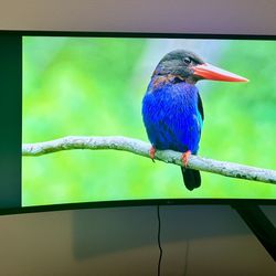 LG 38GN950-B 38″ Curved Ultrawide • 3840×1600 • 144 Hz (OC 160) • Nano IPS • Crosshair (Aim Reticle)