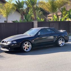 1999 Ford Mustang